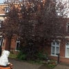 Photo 9: Communal courtyard