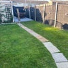 Photo 2: Back garden