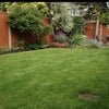 Photo 3: view of garden.