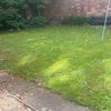 Photo 11: Garden