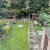 Photo 4: Garden