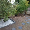 Photo 7: Garden revamped