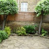 Photo 4: Garden