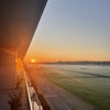 Photo 8: Sunrise from the balcony!