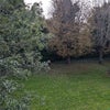 Photo 9: Garden