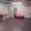 Photo 6: Garage gym