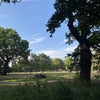 Photo 7: Park just 100m away
