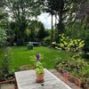 Photo 6: Shared garden (with nice couple who live in the flat above) 