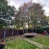 Photo 8: Back garden
