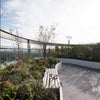 Photo 7: Rooftop garden