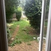 Photo 4: Garden