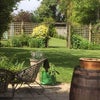 Photo 3: Garden