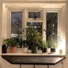 Photo 2: Kitchen window