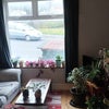 Photo 3: Cosy living area with sofa, TV and plants
