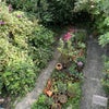 Photo 9: Garden