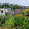 Photo 8: Garden - bit higher now