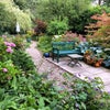 Photo 6: Plenty of places to sit in the tranquil gardens