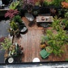 Photo 2: terrace from  above