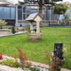 Photo 5: Front garden 