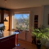 Photo 5: View from kitchen