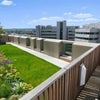Photo 2: Roof Terrace
