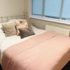 Photo 2: BEDROOM