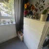 Photo 3: chest of drawers