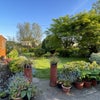 Photo 6: Garden 