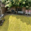 Photo 9: Garden 