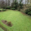 Photo 6: Communal Gardens