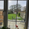 Photo 4: Garden