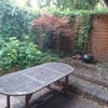 Photo 9: Rear Garden