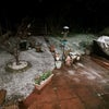Photo 4: Garden