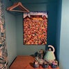 Photo 5: hanging rail and chest in  bedroom