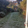 Photo 5: A chilly garden