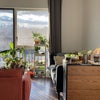 Photo 6: living room