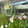 Photo 7: Balcony 2