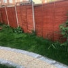 Photo 8: Back garden