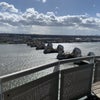 Photo 8: Balcony (1 of 2)