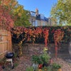 Photo 4: Garden