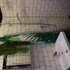 Photo 7: Ensuite