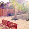 Photo 9: Garden