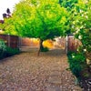 Photo 8: Garden