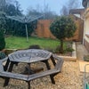 Photo 6: Shared use garden