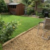 Photo 8: Shared back garden