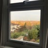 Photo 7: View out of the room 