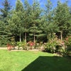 Photo 2: View to garden
