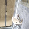 Photo 4: OWN BATHROOM
