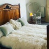 Photo 6: Room 2