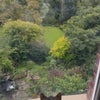 Photo 9: Garden - with cat!